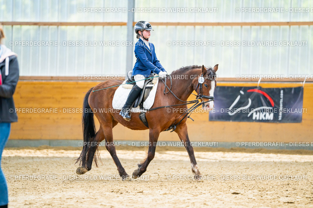 DSC01003 | Pferdegrafie