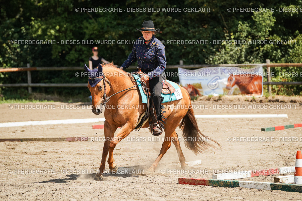 DSC06810 | Pferdegrafie