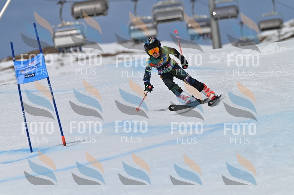 BGV_6777 | holidayphoto