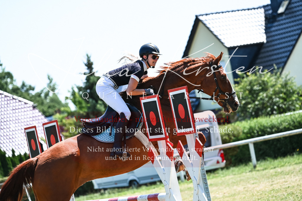 DSC_0480 | Pferde- und Turnierfotografie in Westsachsen. Pferdeportraits, Auftragszeichnungen und intuitive Kunst.