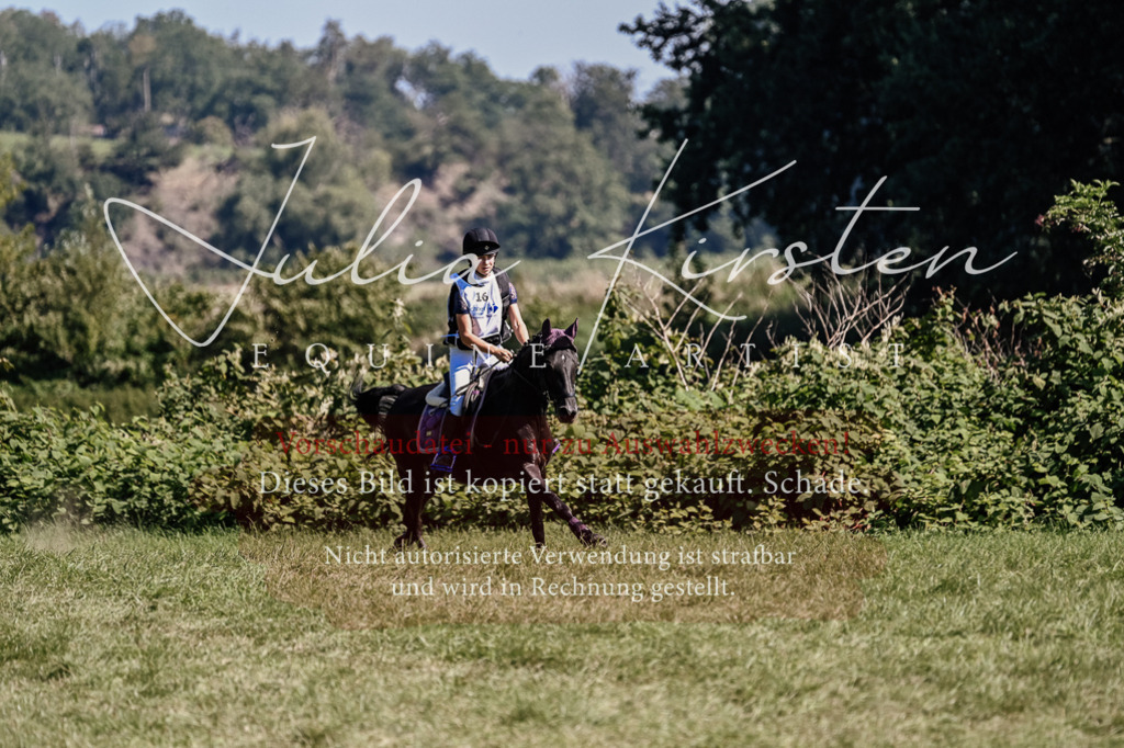 DSC_1949 | Pferde- und Turnierfotografie in Westsachsen. Pferdeportraits, Auftragszeichnungen und intuitive Kunst.