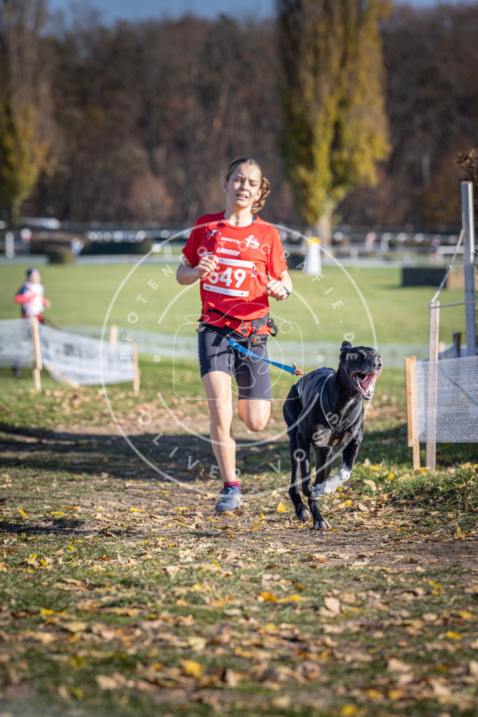 CaniXpix_DV3A8468 | Hundefotografie, Tierfotograf, Pfotenfotografie, Fotoshooting Hund, Hunde Portrait, Hundesport, Hundeportraits, Heideshooting, Hunde, Sportfotograf, Hundefotograf, Turnierhundsport, THS,  - Realisiert mit Pictrs.com
