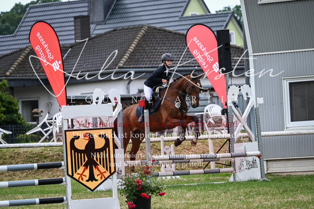 DSC_8485 | Pferde- und Turnierfotografie in Westsachsen. Pferdeportraits, Auftragszeichnungen und intuitive Kunst.