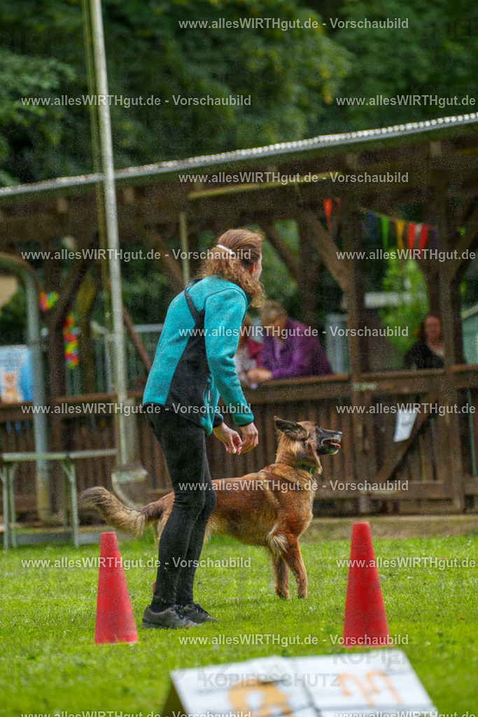 @allesWIRTHgut_Tierfotografie - www.allesWIRTHgut.de - 102138-7R508396 | Professionelle Tierfotografie in Mönchengladbach von Daniel Wirth (allesWIRTHgut). Liebevolle & natürliche Bilder von Hunden & Katzen für unvergessliche Erinnerungen.