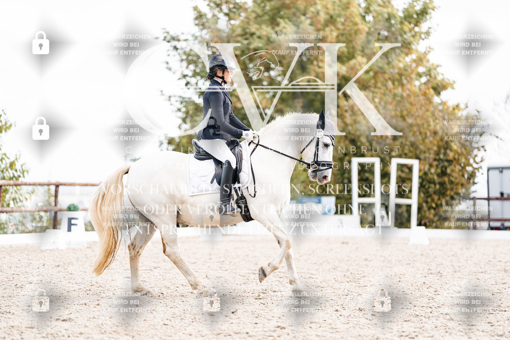 CK901561 | Turnierfotografie Pferdefotografie Trier Rheinland-Pfalz Pferdesport Reitsport Tierfotografie Sportfotografie Pferdevideo Pferdevideografie Equestrianvideography equestrianphotography  - Realisiert mit Pictrs.com