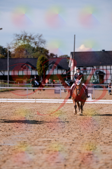2026_10_03_Siefer-Hof_130108_Z81_52617402 | Professionelle Reitsport-, Turnier- und Eventfotografie von Robert Broda. Galerien mit ausgewählten und bearbeiteten Bildern direkt online ansehen und bestellen.