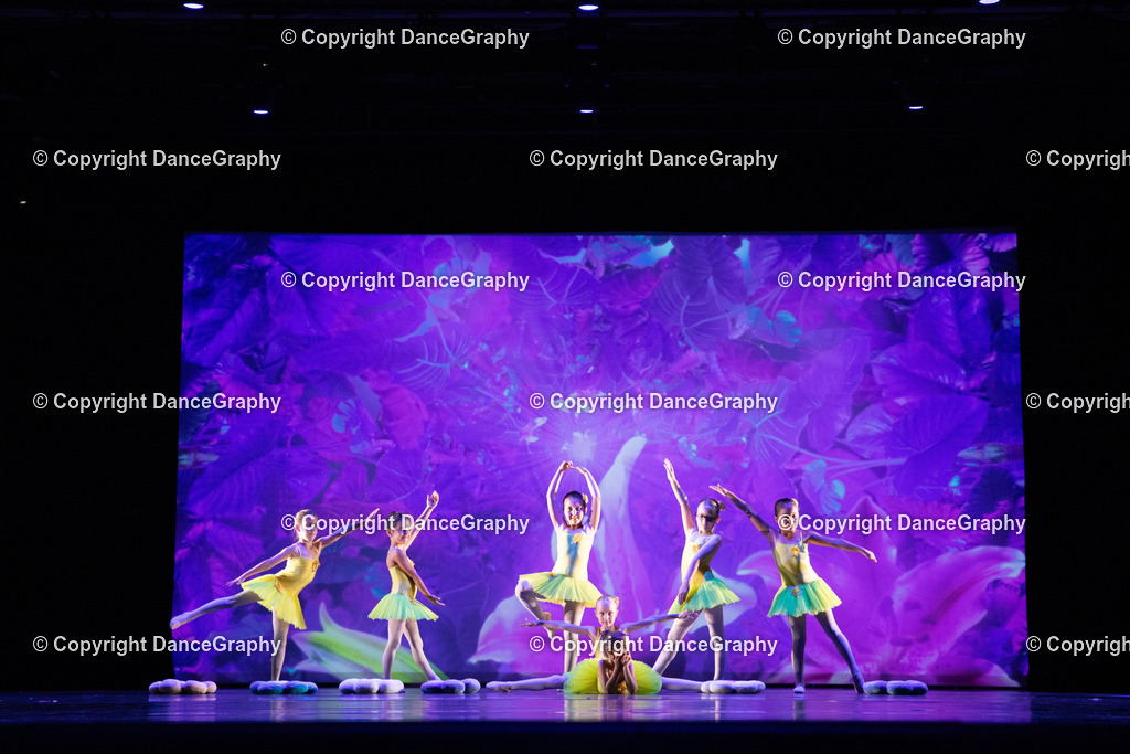 GPHY6254 | DanceGraphy - Realisiert mit Pictrs.com