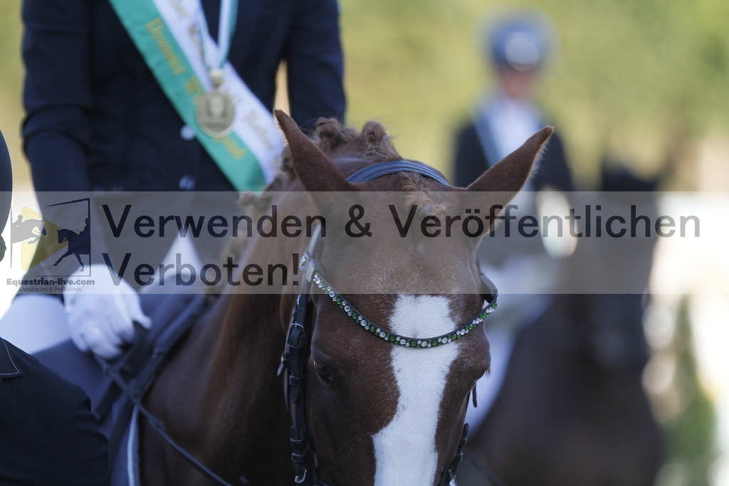 _MG_3242 | equestrian-live-com