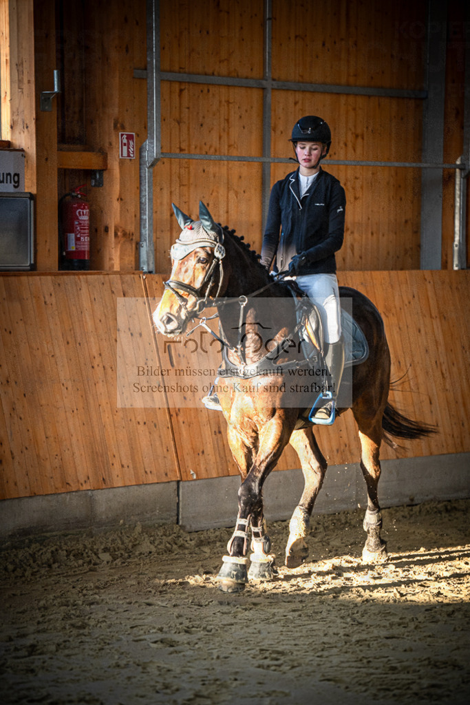 DOS_0304 | Entdecke hochwertige Reitturnierfotos von Foto Oger. Professionell, emotional und authentisch – jetzt Lieblingsmomente im Shop bestellen.Deutschlandweite Turnierfotografie. - Realisiert mit Pictrs.com