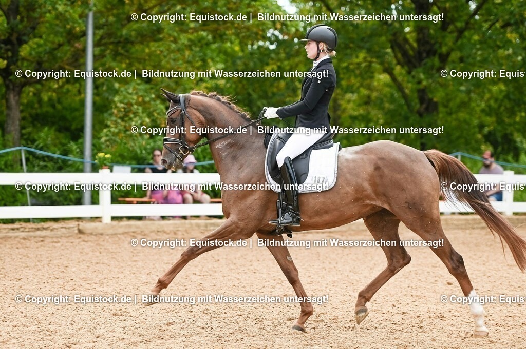 20230715_07_Dressurpferdeprfg. Kl.L_0062 | equistock