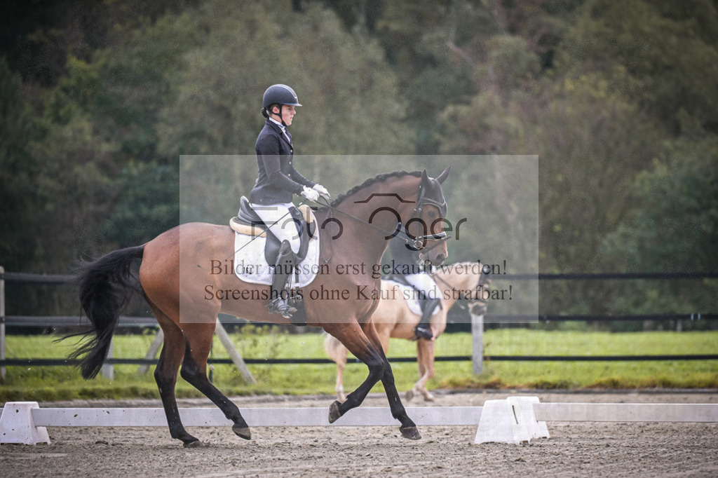 DOS_0674 | Entdecke hochwertige Reitturnierfotos von Foto Oger. Professionell, emotional und authentisch – jetzt Lieblingsmomente im Shop bestellen.Deutschlandweite Turnierfotografie. - Realisiert mit Pictrs.com