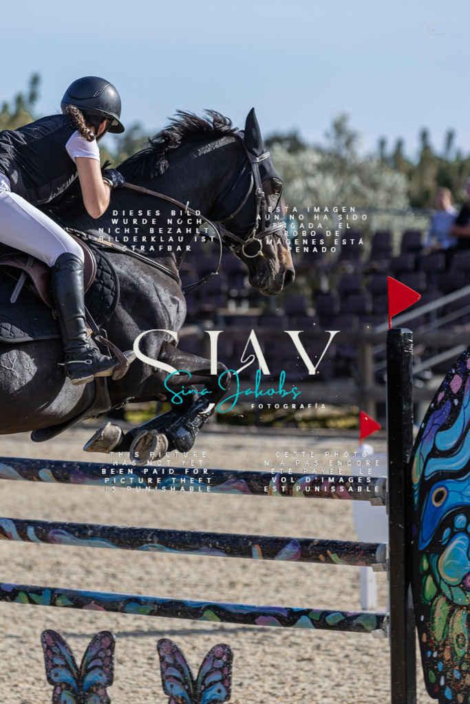 IMG_0134 | s-jay-photography - Realisiert mit Pictrs.com