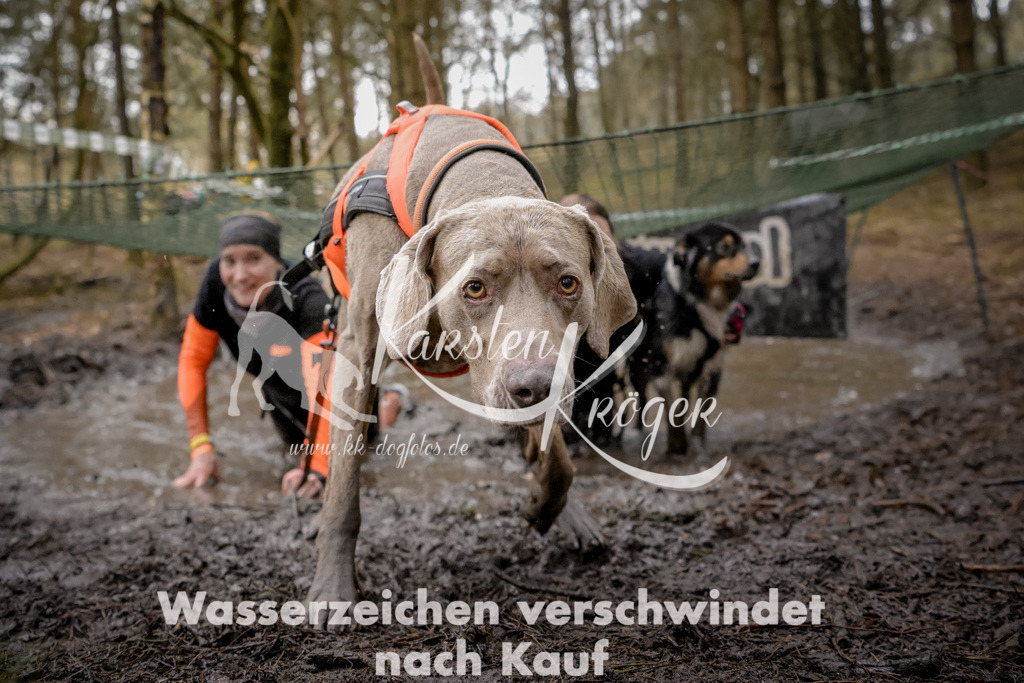 1004_ZZ99264 | kk-dogfotos