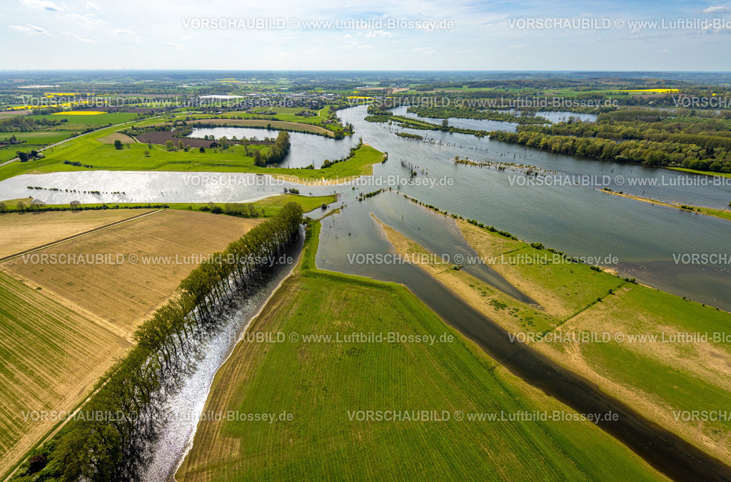Wesel240402222BislicherInsel-Wesel | Luftbild, NSG Naturschutzgebiet Bislicher Insel Auenlandschaft, Schwarzer Graben mit Baumallee, Flussarm Alter Rhein, Seenlandschschaft mit Wiesen und Feldern und Fernsicht, Unterbirten, Xanten, Niederrhein, Nordrhein-Westfalen, Deutschland