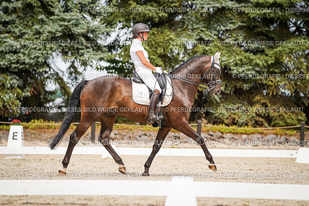 DSC06422 | Pferdegrafie