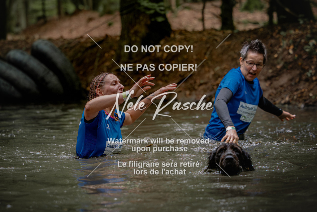 nelerasche_SaWingst1200-1230_295 | nelerasche