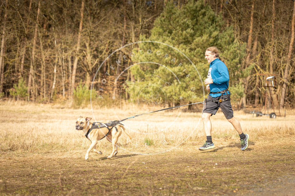 DV3A5337 | Hundefotografie, Tierfotograf, Pfotenfotografie, Fotoshooting Hund, Hunde Portrait, Hundesport, Hundeportraits, Heideshooting, Hunde, Sportfotograf, Hundefotograf, Turnierhundsport, THS,  - Realisiert mit Pictrs.com