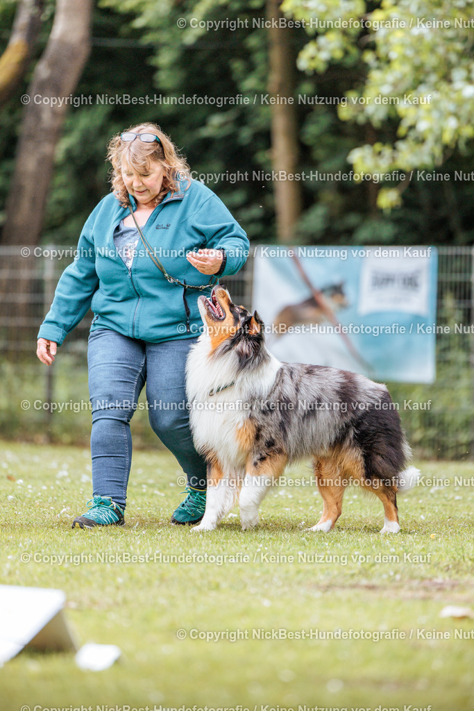 RO-Blumenthal-2026-Nickbest-Hundefotografie-2467 | Dein Hund! Dein Moment! Deine Erinnerungen! Hundefotografie in Bremen Blumenthal. Ich fange die besonderen Momente deines Vierbeiners ein – ob Indoor mit Blitzanlage oder in der freien Natur. Sicher dir dein Moment und dein Termin für eure Erinnerungen.