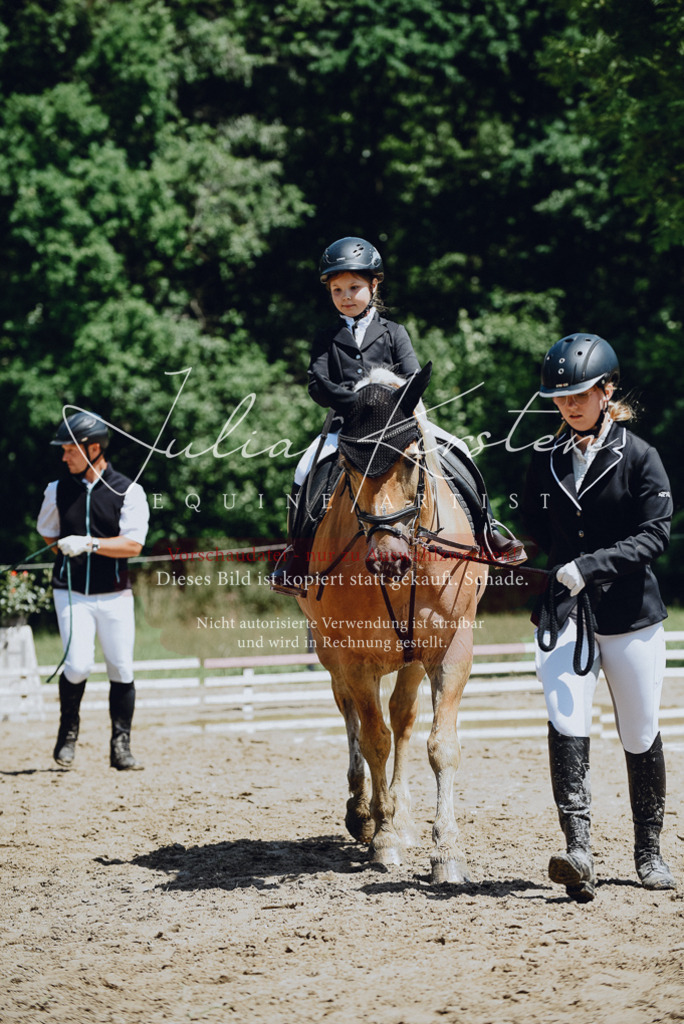 DSC_2577 | Pferde- und Turnierfotografie in Westsachsen. Pferdeportraits, Auftragszeichnungen und intuitive Kunst.