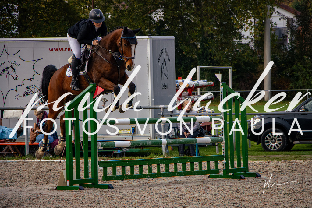 IMG_4945 | Erleben Sie dynamische Sport- und emotionale Tierfotografie in Süddeutschland mit Fotos von Paula. Spezialisiert auf Pferde- und Hundefotografie sowie Sportevents. Kontaktieren Sie mich für einzigartige und ausdrucksstarke Bilder Ihrer besonderen Momente. - Realisiert mit Pictrs.com