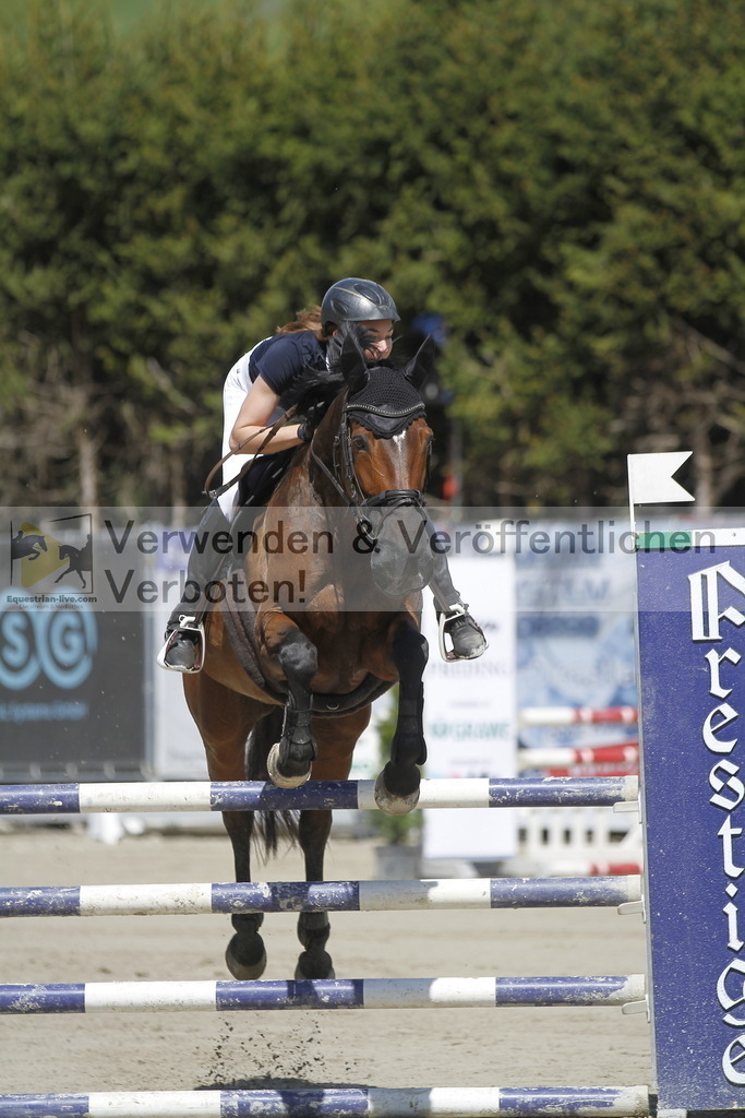 _MG_6511 | equestrian-live-com