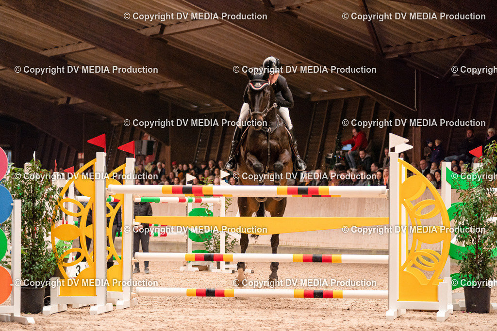 Springen Tag 3-473 | dv-media-shop - Realisiert mit Pictrs.com