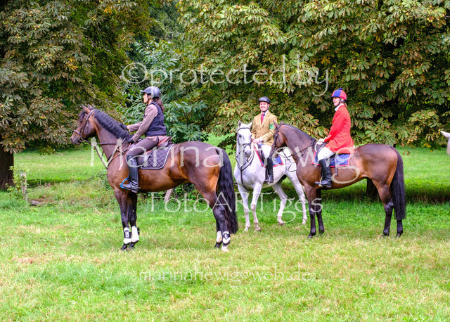 Jagd Perdoel 26 Fuji-9671_MarinaHewig | Fotografie, FotoArt, PferdesportArt, Pferdesportfotografie, Landschaftsfotografie, Reisefotografie, Reise, Pferde - Realisiert mit Pictrs.com