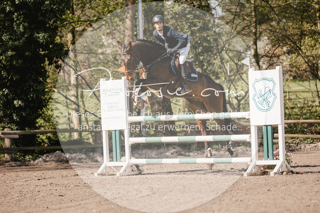 3I6A4064 | Stimmungsvolle Portraits und Reitsportfotografie im Ruhrgebiet und im Münsterland.

Pferdefotografie, Hundefotografie, Tierfotografie, Reportagen, Portraits von Tier und Mensch, Turnierfotografie in Bochum, Recklinghausen, Marl, Haltern am See, Dülmen.. - Realisiert mit Pictrs.com