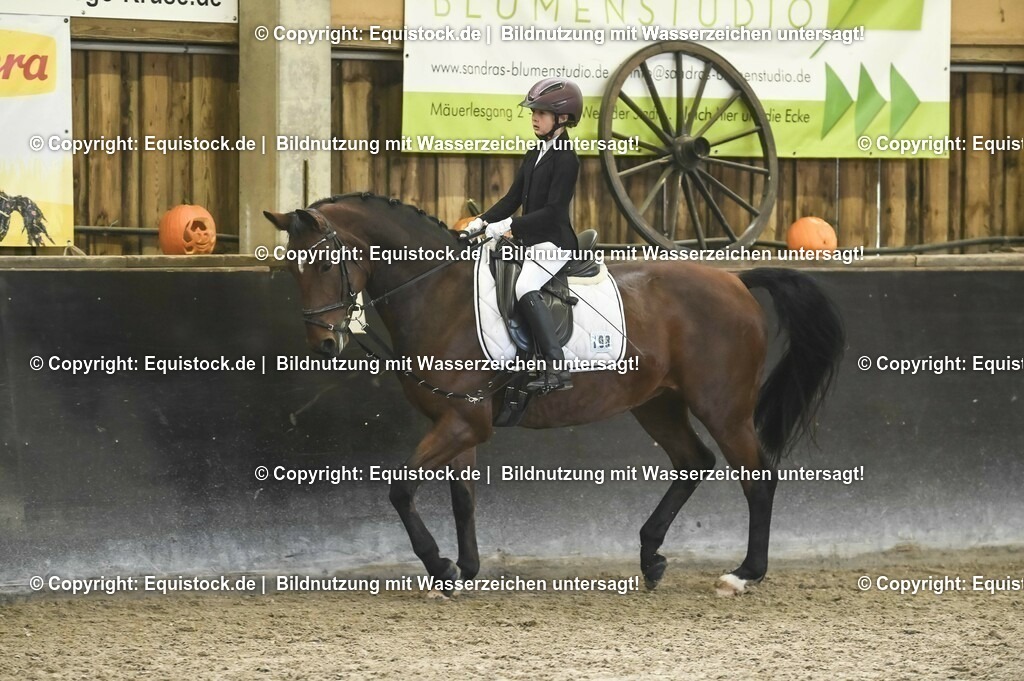 03_Reiter-WB_0265 | Foto: Thomas Hartig