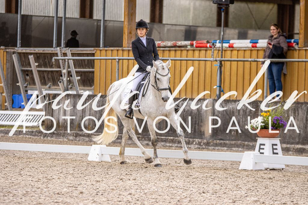 IMG_3105 | Erleben Sie dynamische Sport- und emotionale Tierfotografie in Süddeutschland mit Fotos von Paula. Spezialisiert auf Pferde- und Hundefotografie sowie Sportevents. Kontaktieren Sie mich für einzigartige und ausdrucksstarke Bilder Ihrer besonderen Momente.