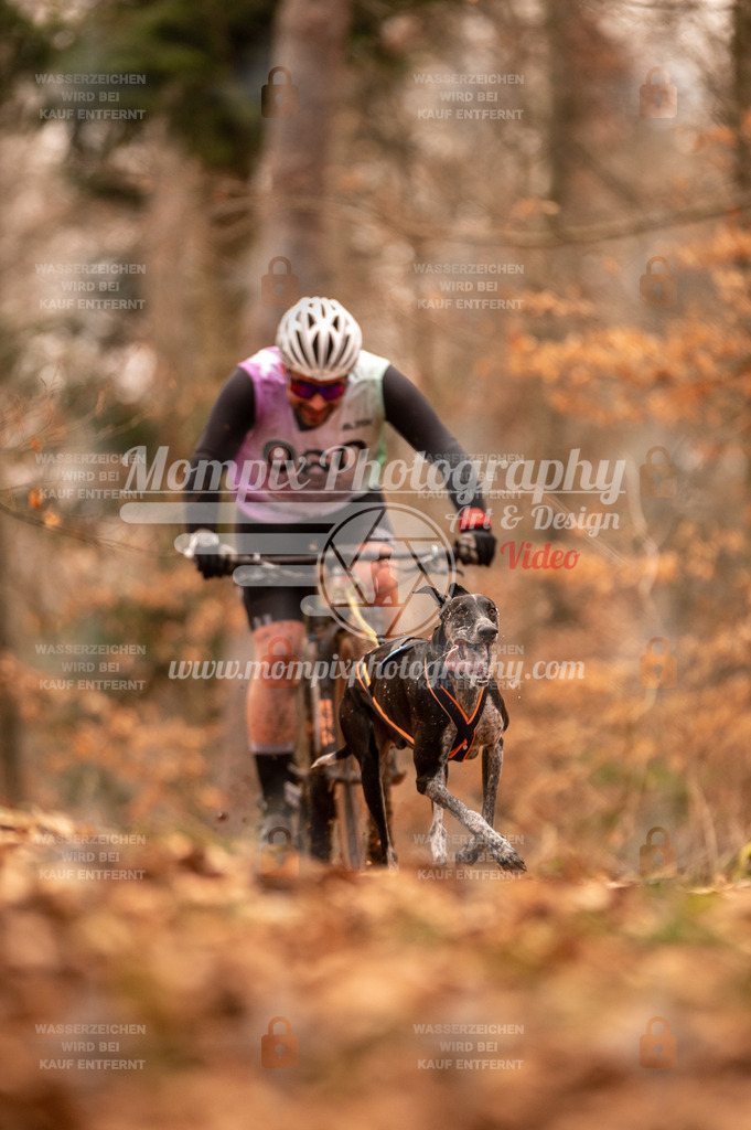 AKM_ST_2023_SAM_Bike-24 | PayLife