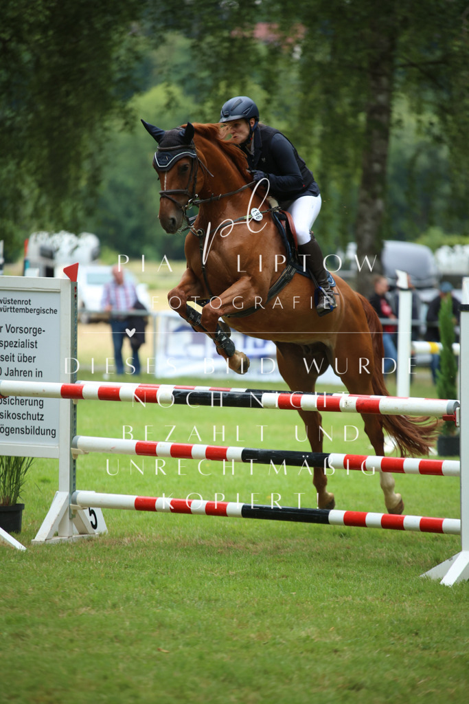 IMGM4200 | pl-fotografie