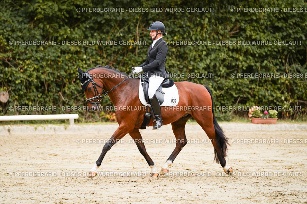 DSC09557 | Pferdegrafie