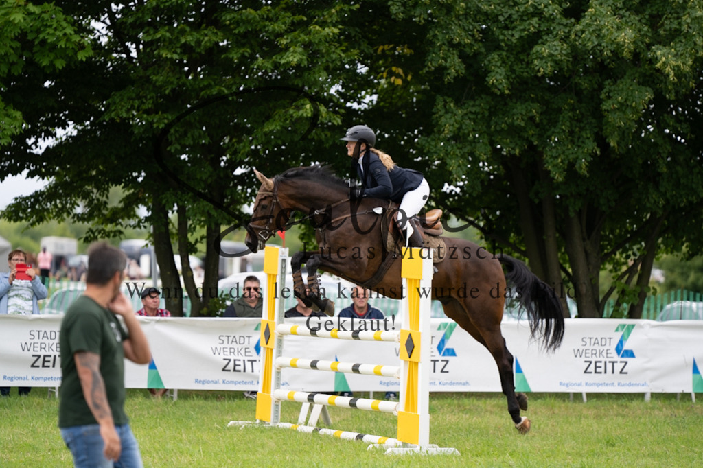 A7V03949 | Pferdefotograf