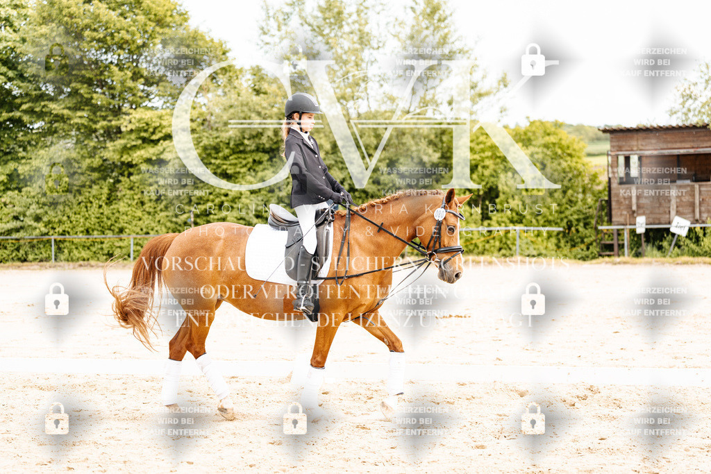 CK904435 | Turnierfotografie Pferdefotografie Trier Rheinland-Pfalz Pferdesport Reitsport Tierfotografie Sportfotografie Pferdevideo Pferdevideografie Equestrianvideography equestrianphotography  - Realisiert mit Pictrs.com