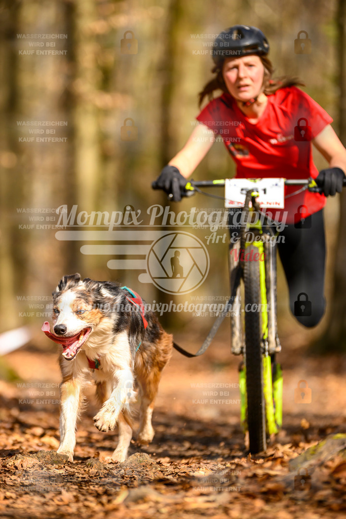 MompixPhotography_Habay2025_SA_SCO-59 | PayLife