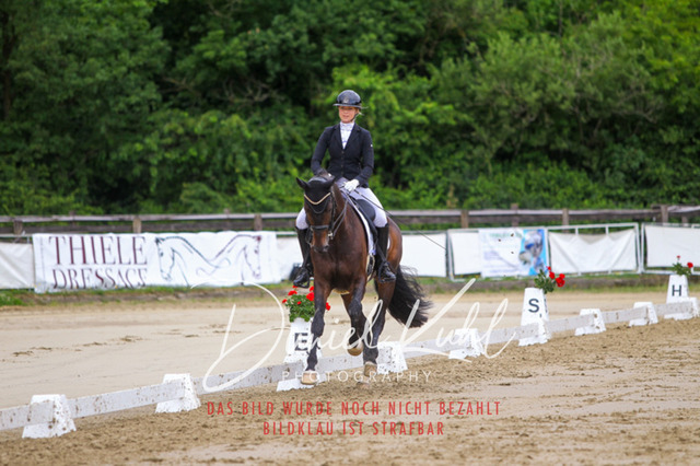 DKP47820 | Turniersportfotografie; Pferdefotografie; Dressurfotografie