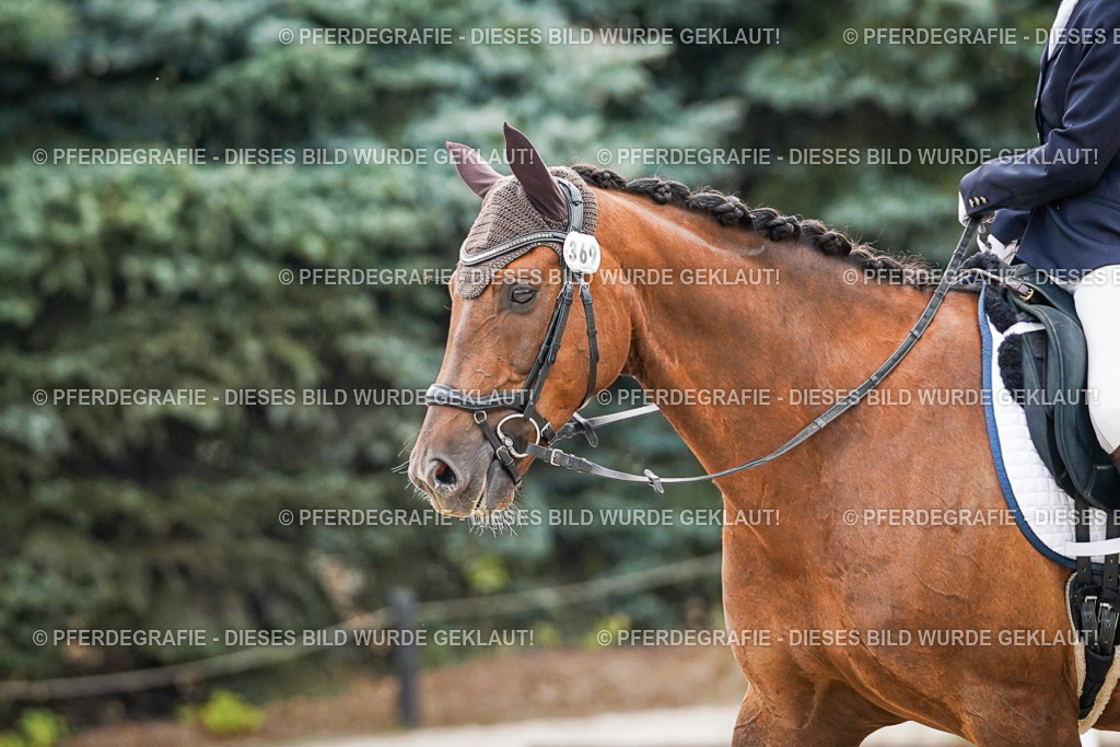 DSC00431 | Pferdegrafie