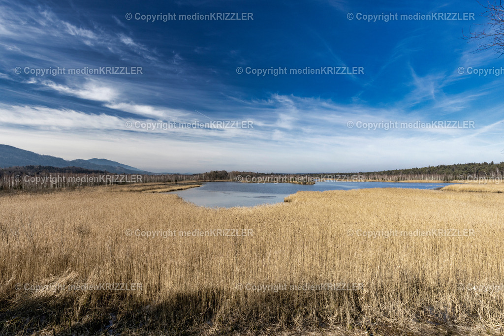 _J3A7729 | medienkrizzler - Realisiert mit Pictrs.com