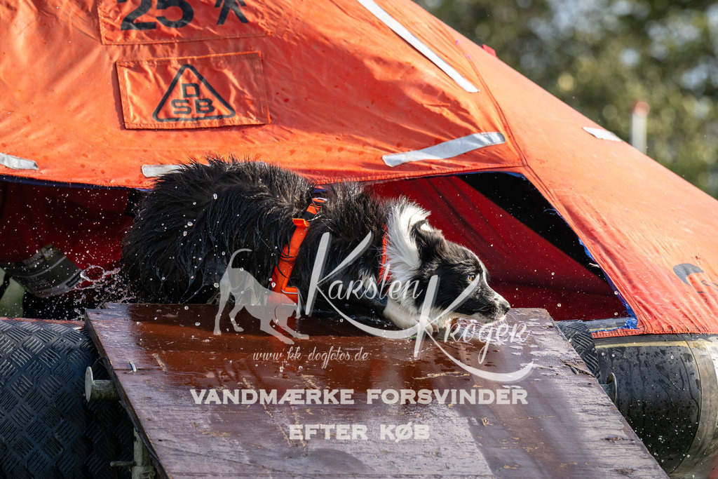 1404-93632 | kk-dogfotos