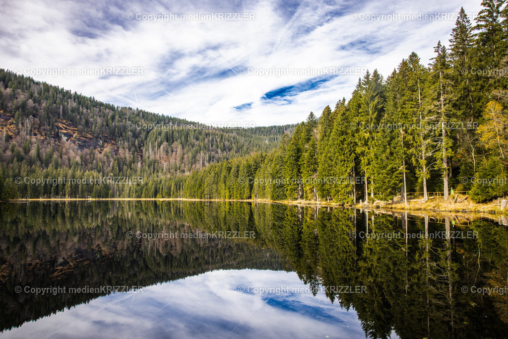 _J3A9085 | medienkrizzler - Realisiert mit Pictrs.com