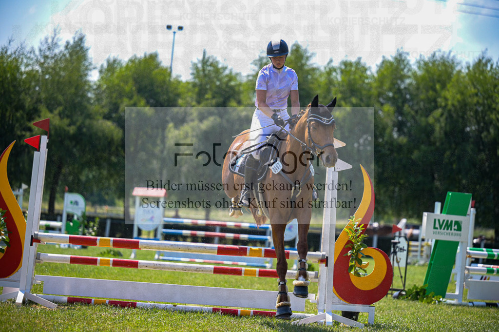 Reitturnier Voxtrup | Entdecke hochwertige Reitturnierfotos von Foto Oger. Professionell, emotional und authentisch – jetzt Lieblingsmomente im Shop bestellen.Deutschlandweite Turnierfotografie. - Realized with Pictrs.com