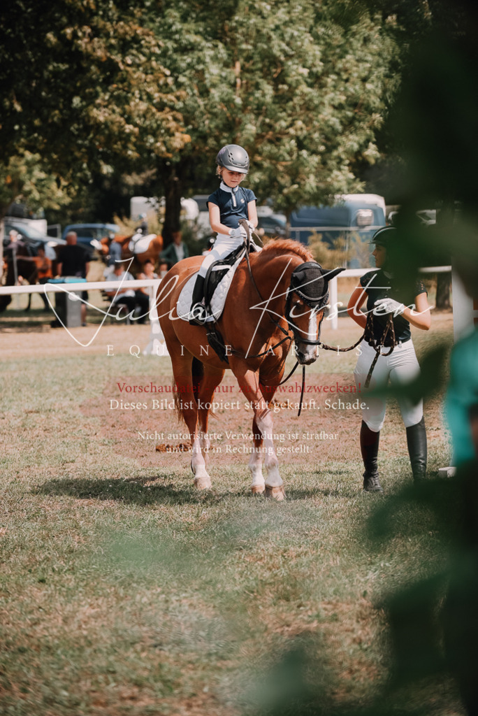 DSC_6214 | Pferde- und Turnierfotografie in Westsachsen. Pferdeportraits, Auftragszeichnungen und intuitive Kunst.