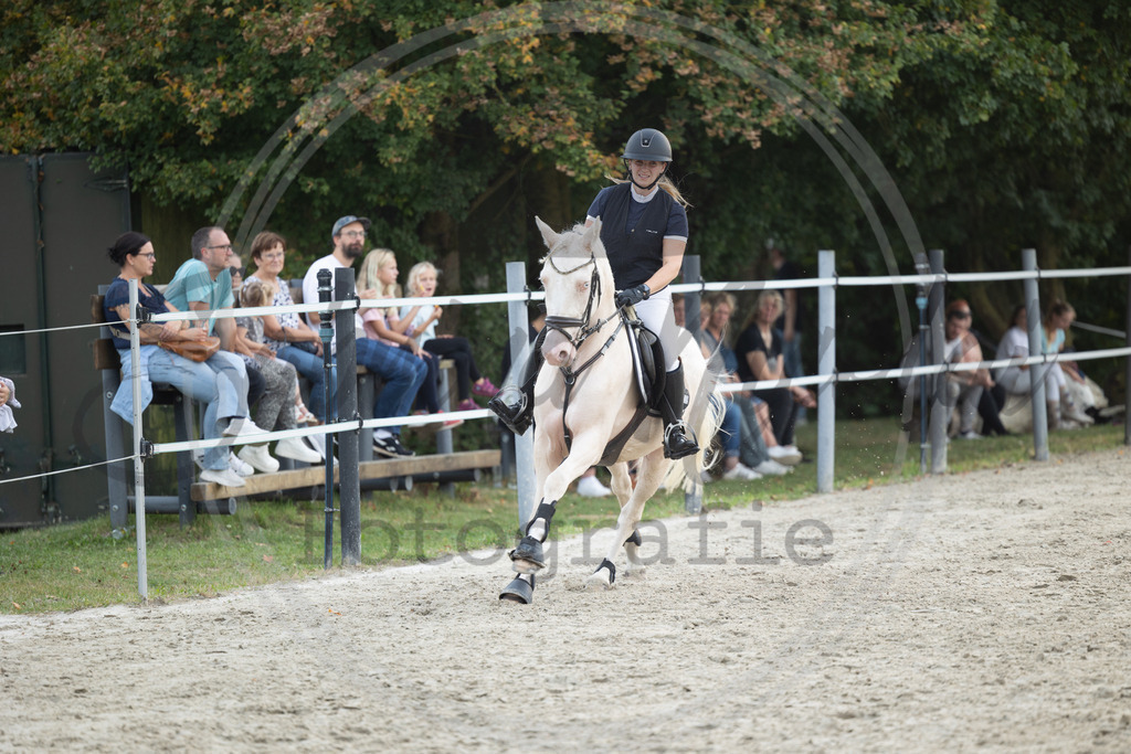 994A2233 | sabrinanicolaifotografie - Realisiert mit Pictrs.com