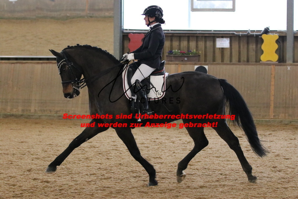 IMG_9061 | lmwpictures - Realisiert mit Pictrs.com