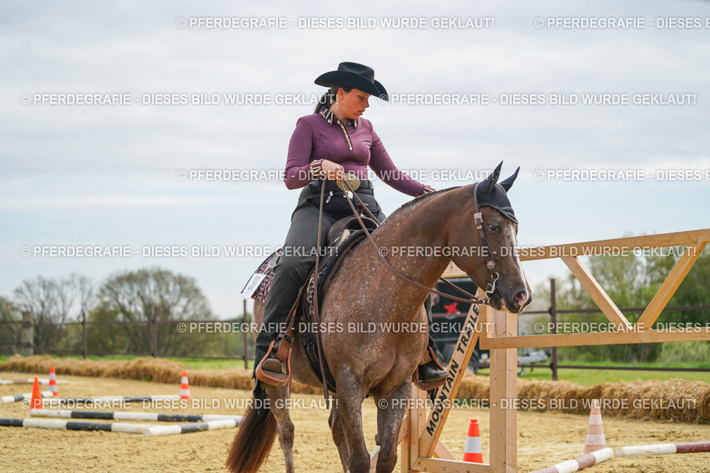 DSC03465 | Pferdegrafie