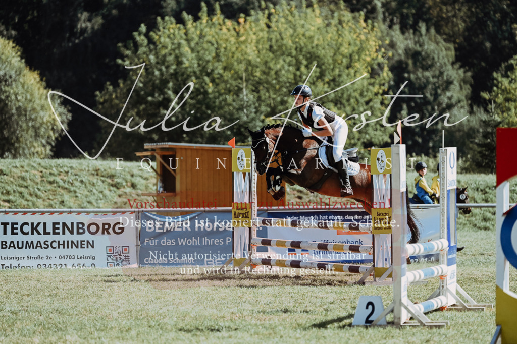 DSC_6825 | Pferde- und Turnierfotografie in Westsachsen. Pferdeportraits, Auftragszeichnungen und intuitive Kunst.