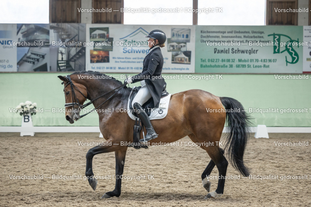 _D5A6372 | Emotionale Pferde- & People-Fotografie rund um Heidelberg, Leimen & Umgebung. Natürliche Fotos von Pferd, Mensch & Familie. Jetzt Termin sichern!