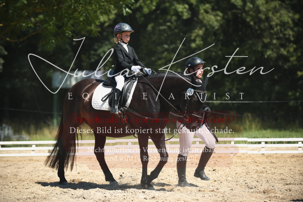 DSC_1731 | Pferde- und Turnierfotografie in Westsachsen. Pferdeportraits, Auftragszeichnungen und intuitive Kunst.