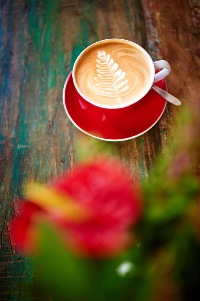 Cafebrennerei Franze | Wien, Austria - August 08, 2019: Cafebrennerei Franze am Kutschkermarkt. - Realisiert mit Pictrs.com